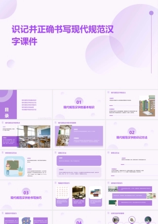识记并正确书写现代规范汉字课件