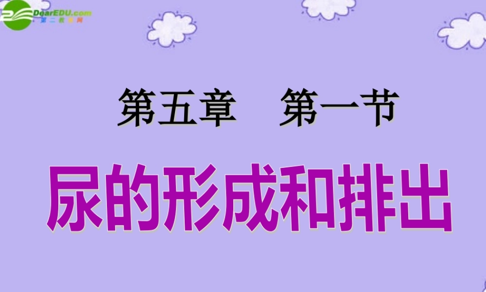 七年级生物下册 第五章第一节尿的形成和排出课件 人教新课标版 课件