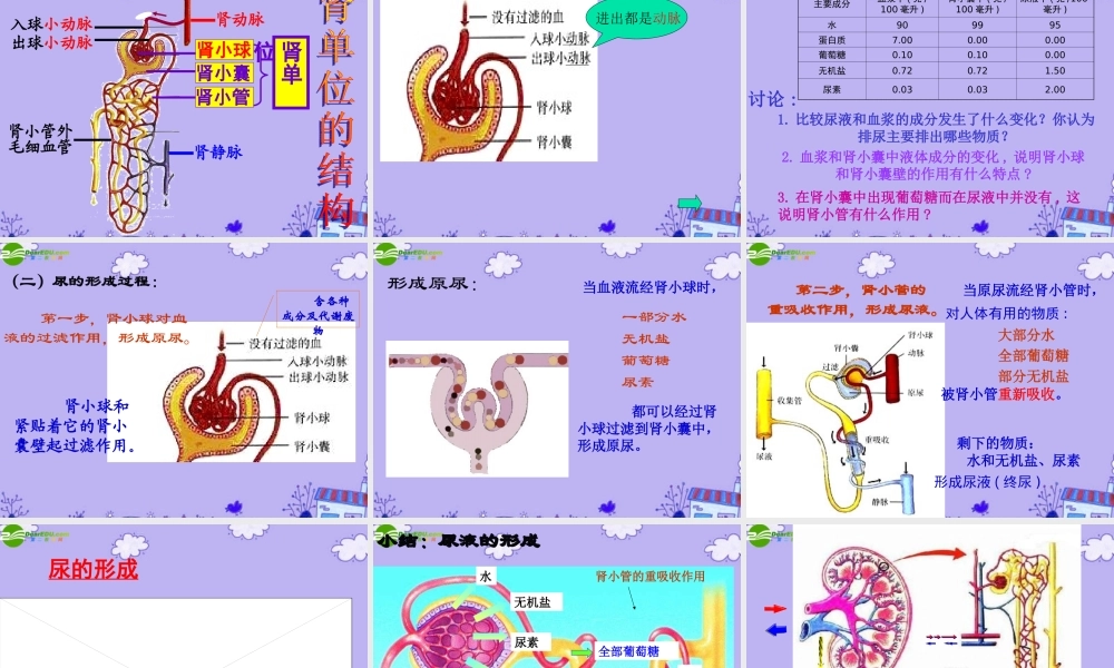 七年级生物下册 第五章第一节尿的形成和排出课件 人教新课标版 课件