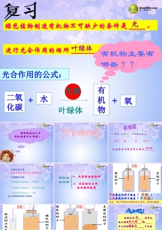 中学七年级生物上册 绿色植物的呼吸作用课件 新人教版 课件