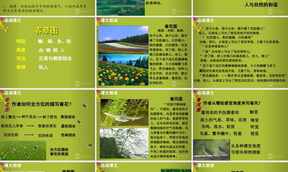 中学七年级语文上册 第11课(春)公开课(第2课时)课件 (新版)新人教版 课件