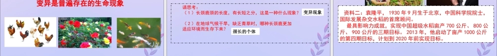 八年级生物上册 第四单元 物种的延续 第四章 生物的遗传与变异 第四节 生物的变异课件(新版)济南版 课件