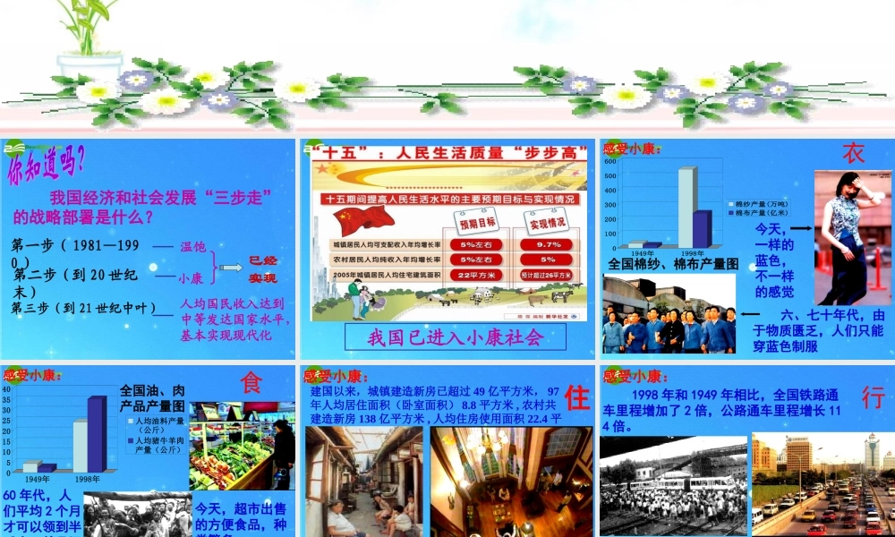 九年级政治 第二单元第4课(走向小康 感受小康)课件 教科版 课件