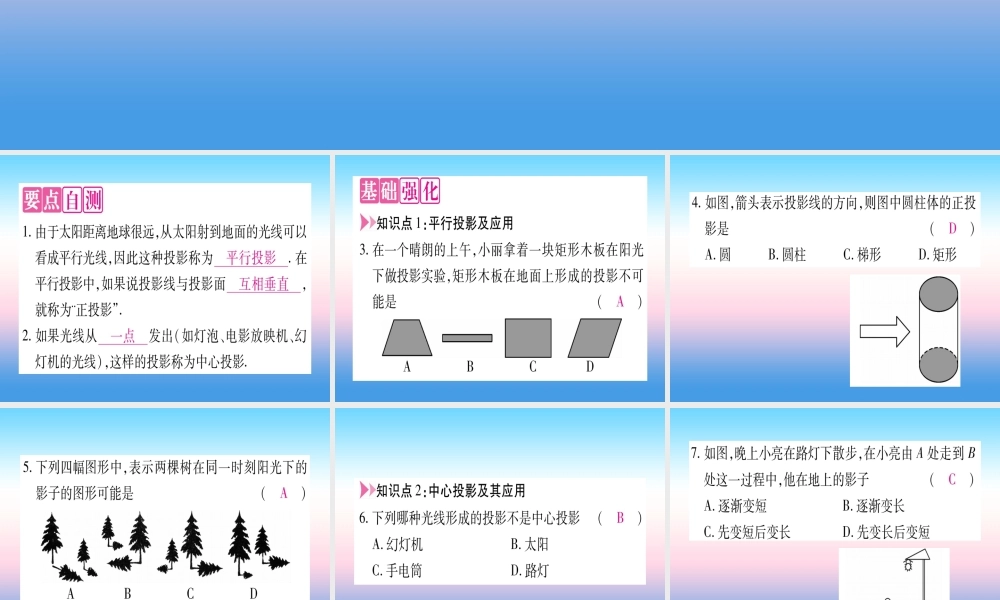 九年级数学下册 第3章 投影与视图 31 投影作业课件 (新版)湘教版 课件