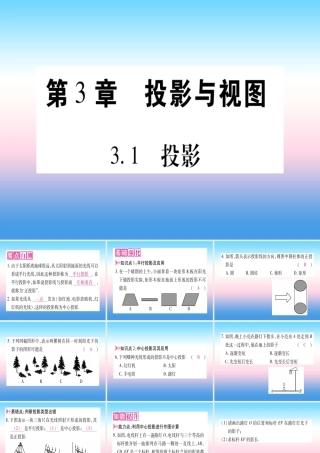 九年级数学下册 第3章 投影与视图 31 投影作业课件 (新版)湘教版 课件