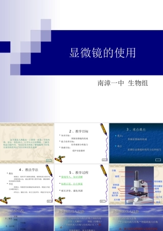 显微镜的使用方法