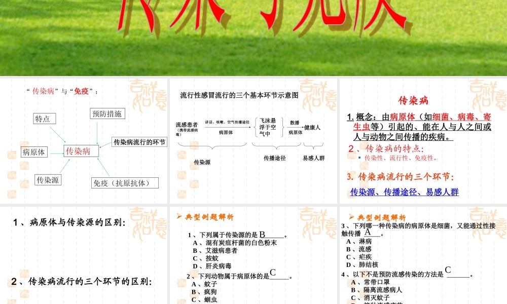 九年级生物 传染和免疫 课件