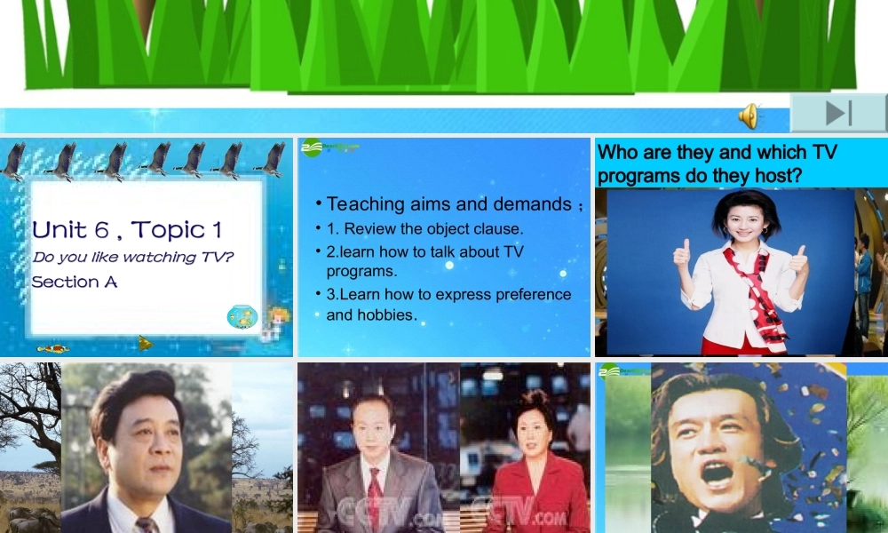 九年级英语下册 Unit 6 Entertainment and Friendship Topic 1 Do you like watching TV Section A课件 仁爱版 课件