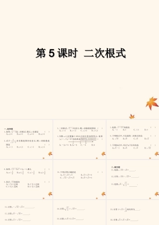 中考数学复习 第5课时 二次根式(课后作业)课件