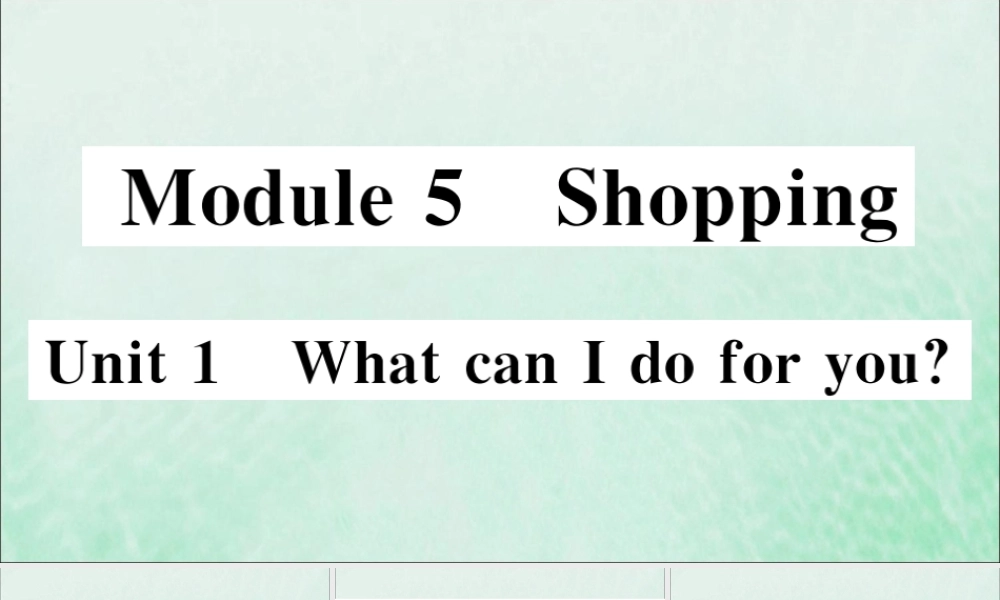 七年级英语下册 Module 5 Shopping Unit 1 What can I do for you习题课件 (新版)外研版 课件
