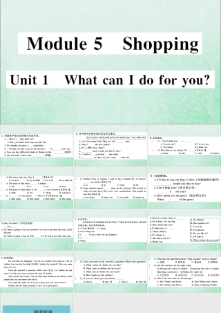 七年级英语下册 Module 5 Shopping Unit 1 What can I do for you习题课件 (新版)外研版 课件