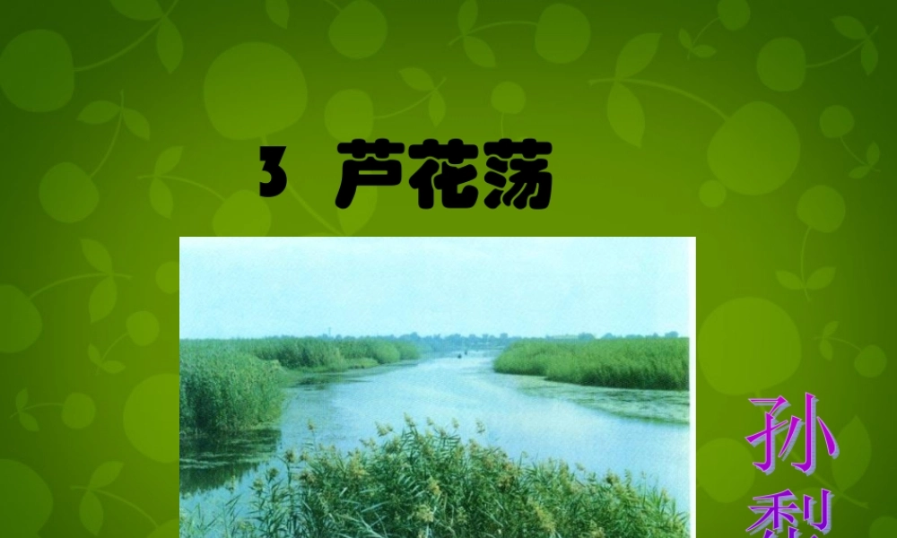 七年级语文下册 第3课(芦花荡)课件 鲁教版 课件