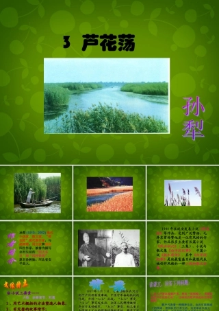 七年级语文下册 第3课(芦花荡)课件 鲁教版 课件