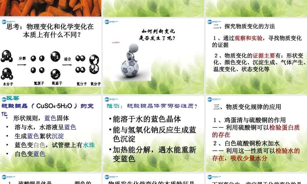 九年级科学上册 11 物质的变化课件1 浙教版 课件