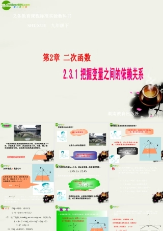 九年级数学下册 23二次函数的应用-231把握变量之间的依赖关系课件 湘教版 课件