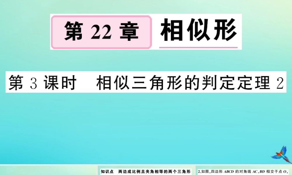 九年级数学上册 第22章 相似形 222 相似三角形的判定 第3课时 相似三角形的判定定理2作业课件 (新版)沪科版 课件