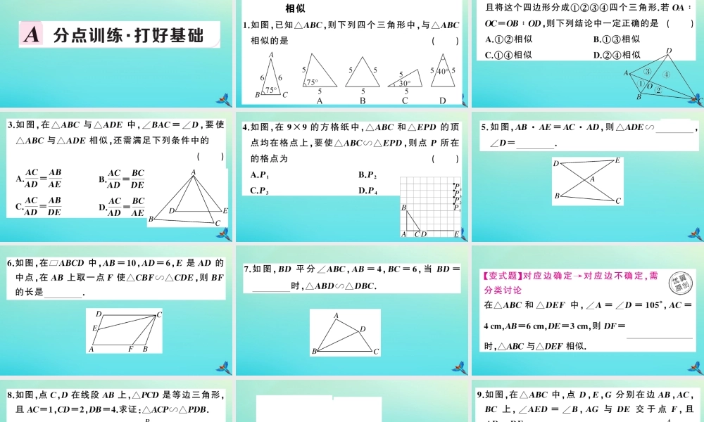九年级数学上册 第22章 相似形 222 相似三角形的判定 第3课时 相似三角形的判定定理2作业课件 (新版)沪科版 课件