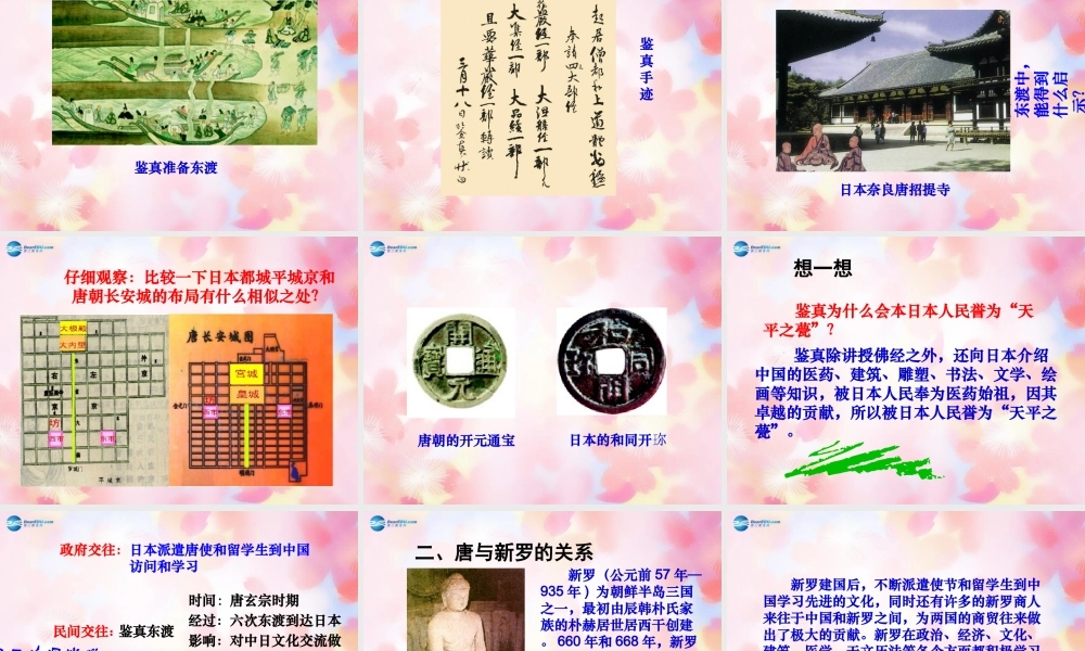 山东省泰安市新泰七年级历史下册 第6课(对外友好往来)课件 新人教版 课件