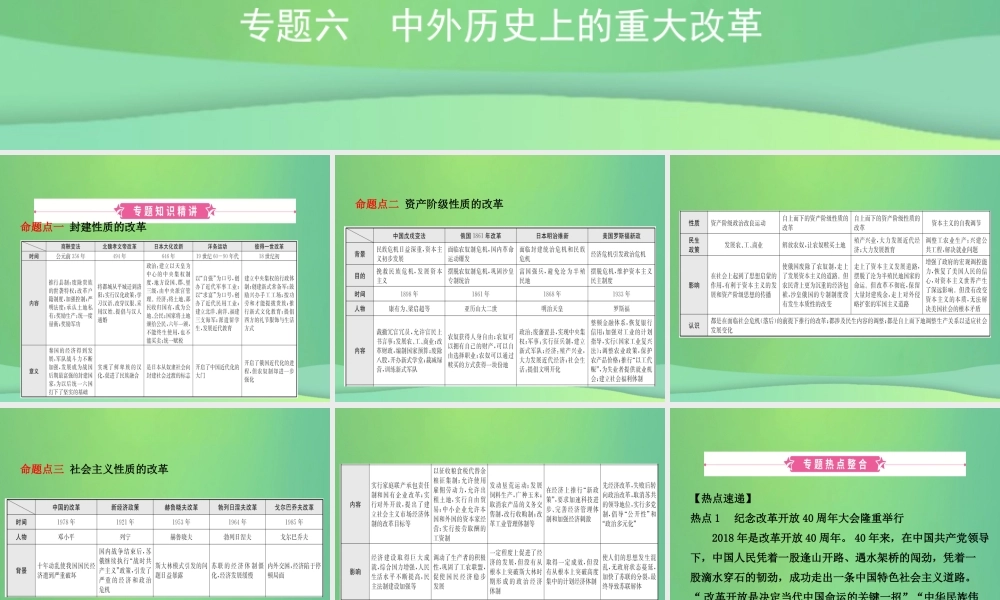 中考历史复习 专题六 中外历史上的重大改革课件