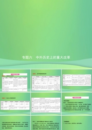 中考历史复习 专题六 中外历史上的重大改革课件
