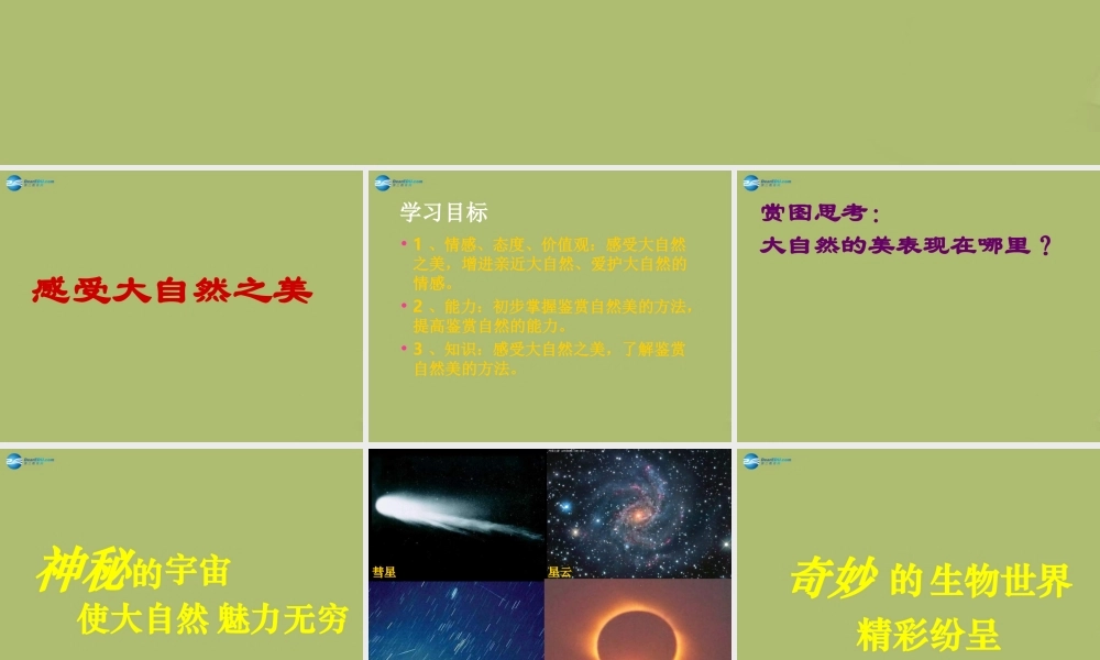 八年级政治下册 第十二课 感受大自然之美课件 鲁教版 课件