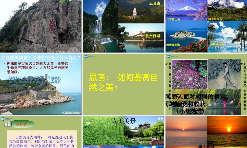 八年级政治下册 第十二课 感受大自然之美课件 鲁教版 课件