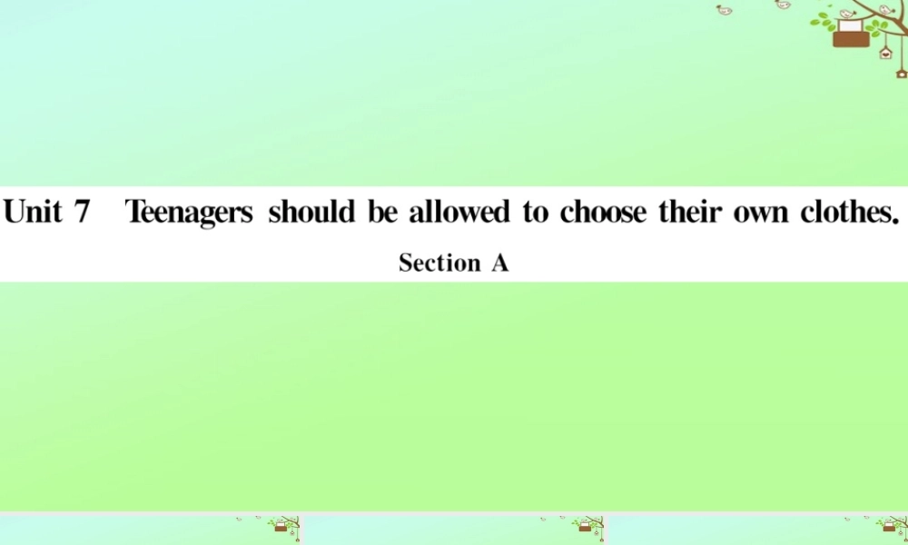 九年级英语全册 Unit 7 Teenagers should be allowed to choose their own clothes Section A作业课件 (新版)人教新目标版 课件