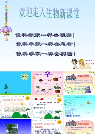 七年级生物上册 第5章第1节 光合作用课件 北师大版 课件