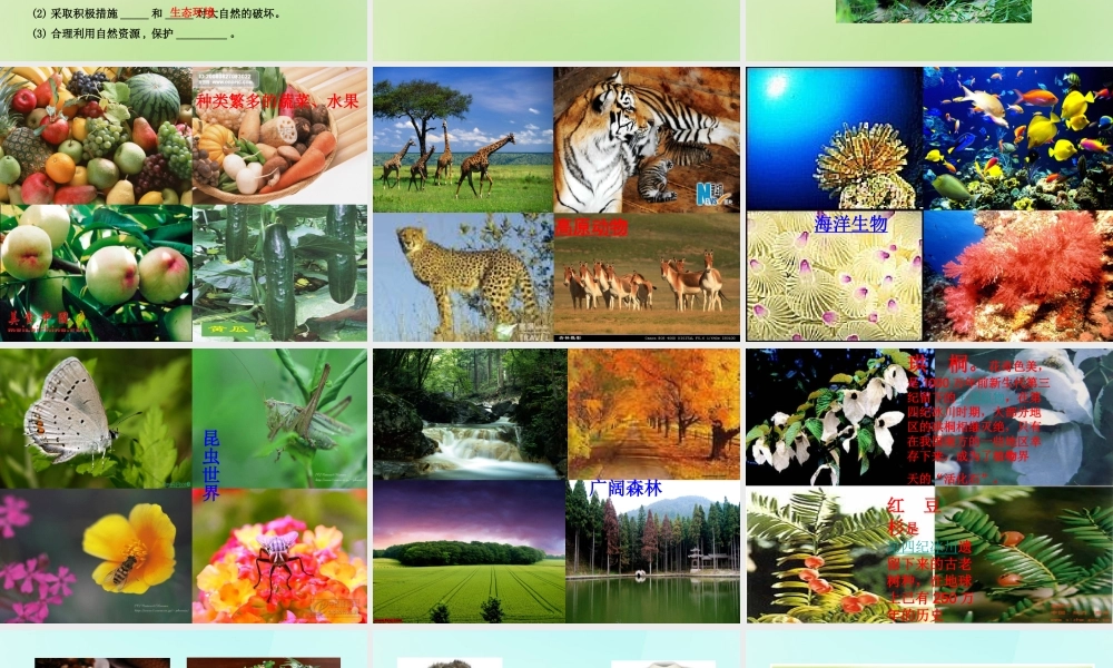 八年级政治下册 第十三课 第1框(关爱大自然 从我做起)课件 鲁教版 课件