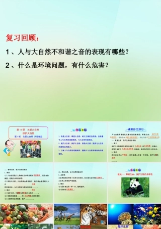 八年级政治下册 第十三课 第1框(关爱大自然 从我做起)课件 鲁教版 课件