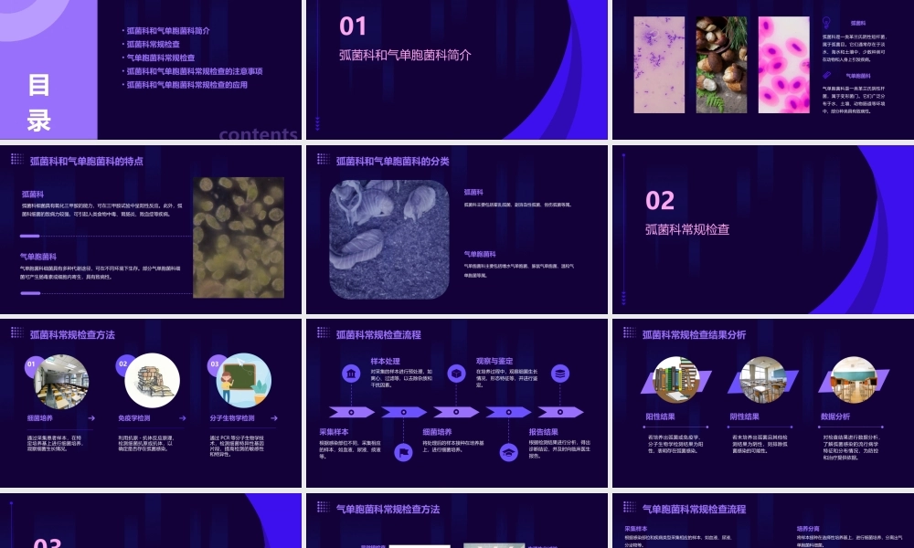 论弧菌科和气单胞菌科的常规检查课件