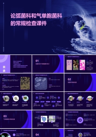 论弧菌科和气单胞菌科的常规检查课件