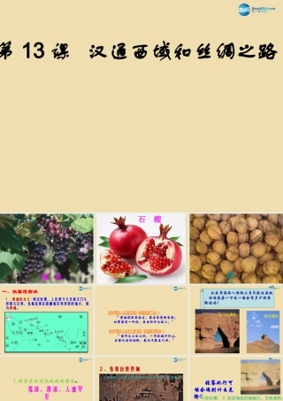 中考历史(汉通西域和丝绸之路)复习课件3 课件