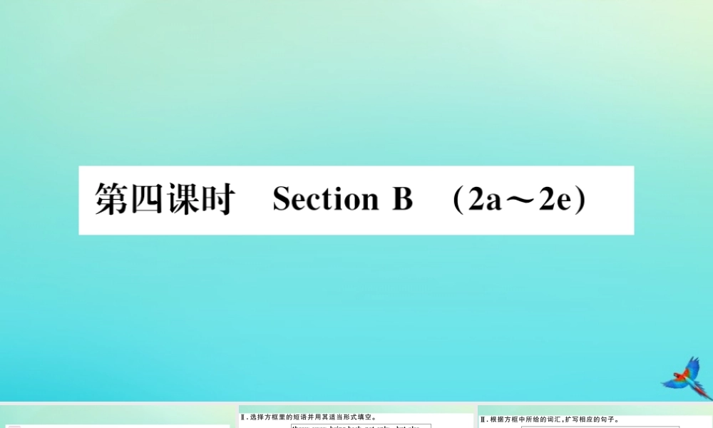 九年级英语全册 Unit 13 We re trying to save the earth(第4课时)习题课件 (新版)人教新目标版 课件