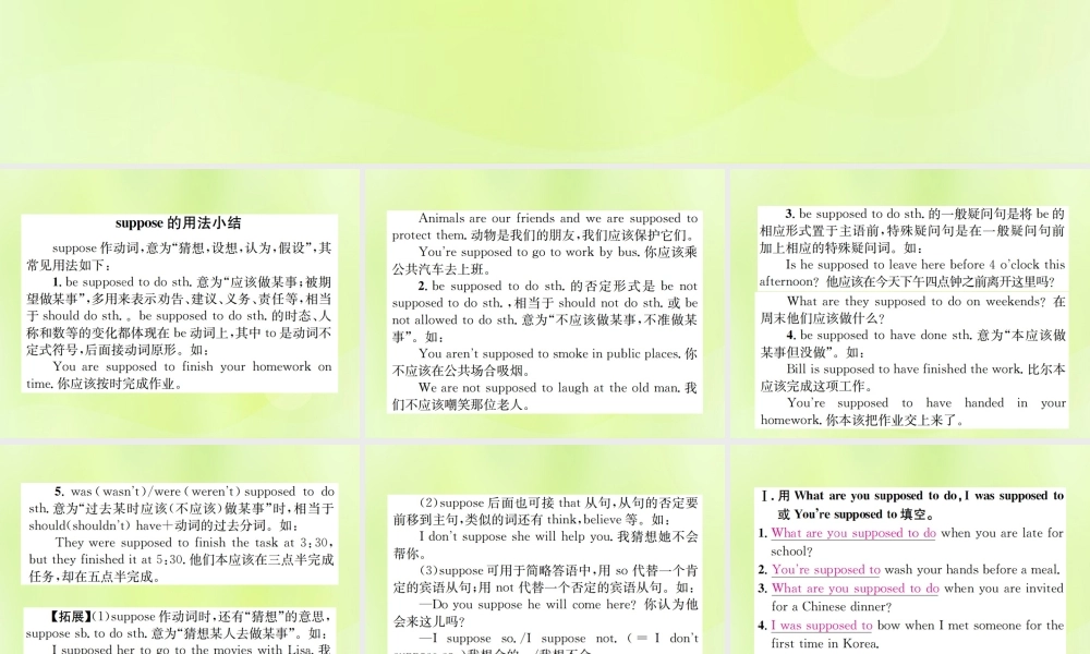 九年级英语全册 Unit 10 You re supposed to shake hands语法小专题习题课件 (新版)人教新目标版 课件