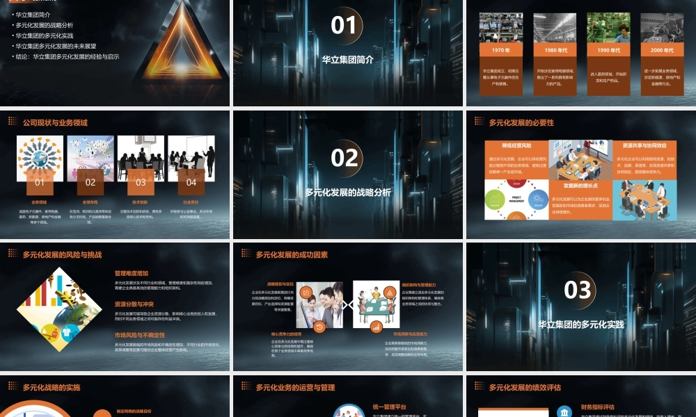 论华立集团的多元化发展之路课件
