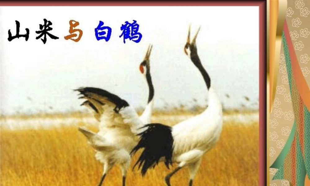 八年级语文上册 16.(山米与白鹤)课件  语文版 课件