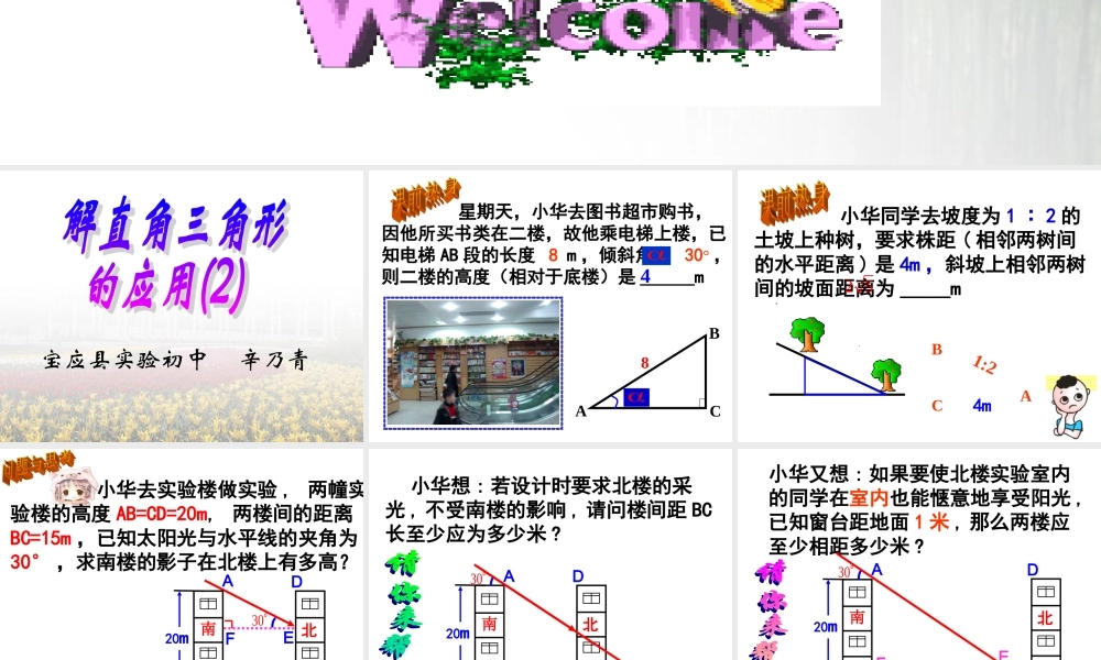 初中开放日课件直角三角形的应用2