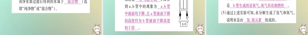 中考化学准点备考复习 第二部分 题型专题突破 专题5 常考教材基础实验课件 新人教版 课件