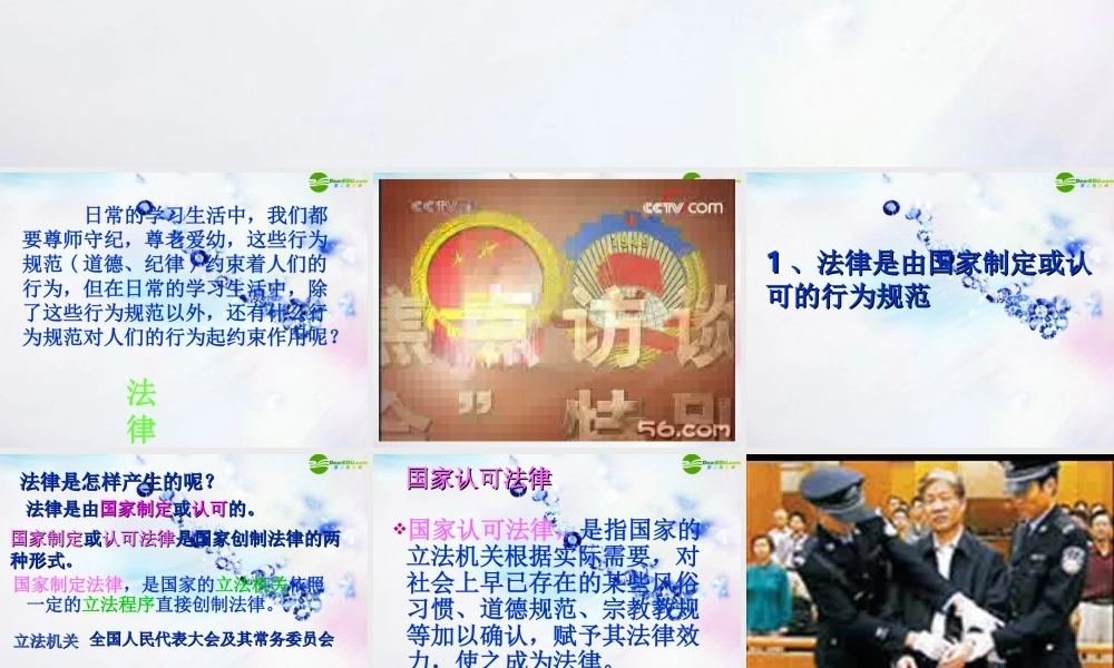 八年级政治下册 第十四课(法律就在我们身边)课件 苏教版 课件