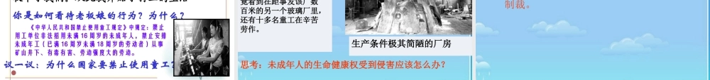 八年级政治下册 生命与健康的权利课件 人教新课标版 课件