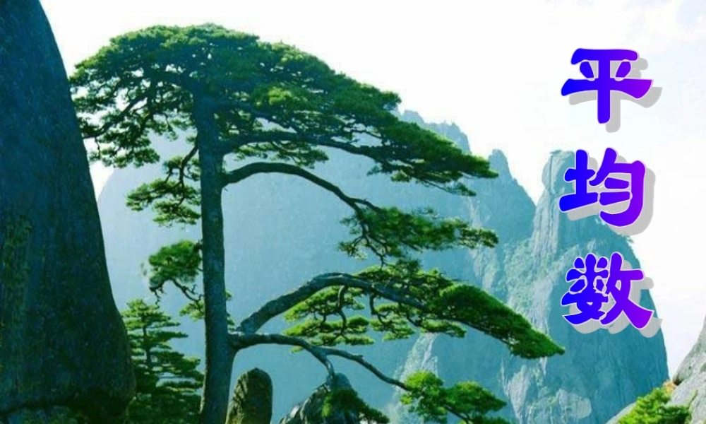 八年级数学上册 平均数课件 浙教版 课件