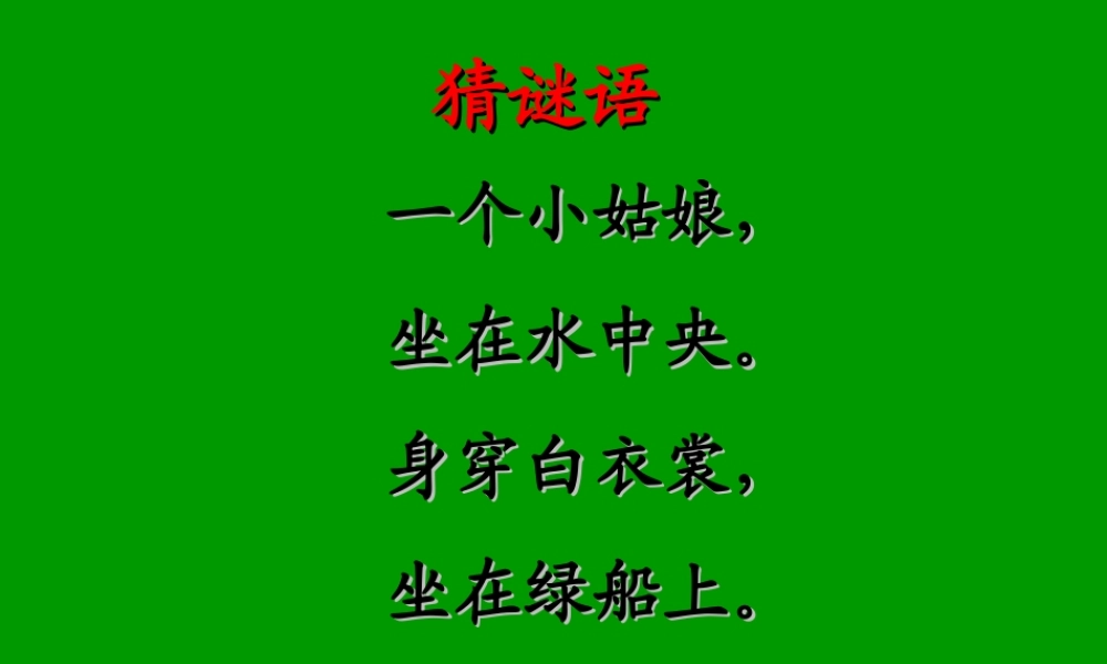 荷花之一课件人教版三年级语文下册课件