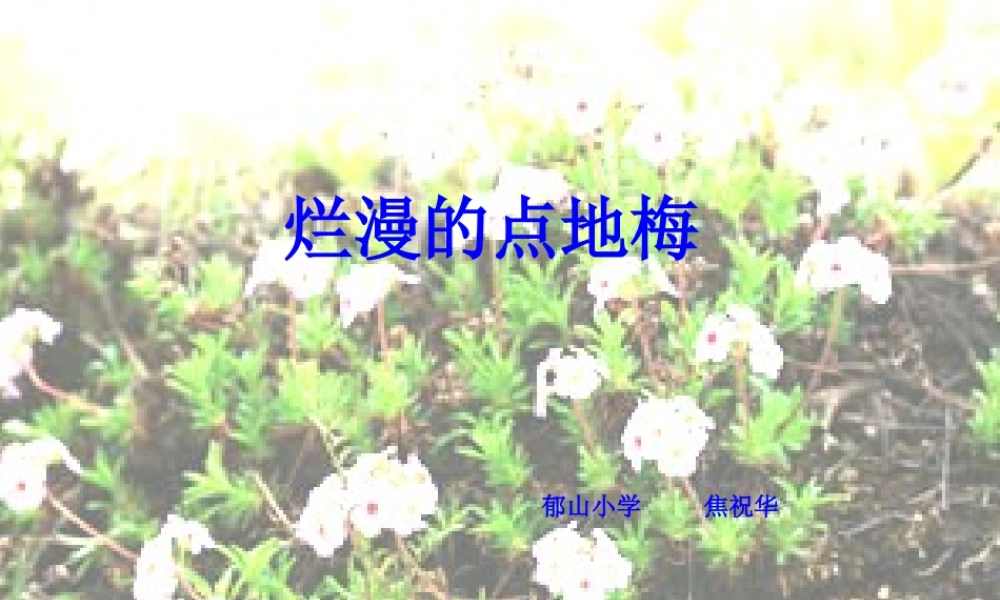 烂漫点地梅课件