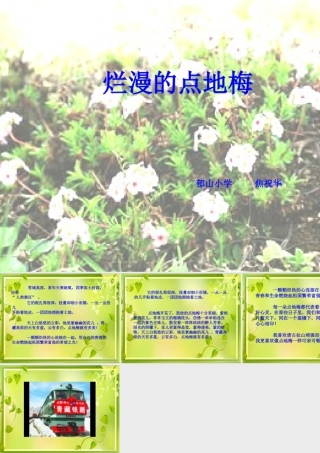烂漫点地梅课件