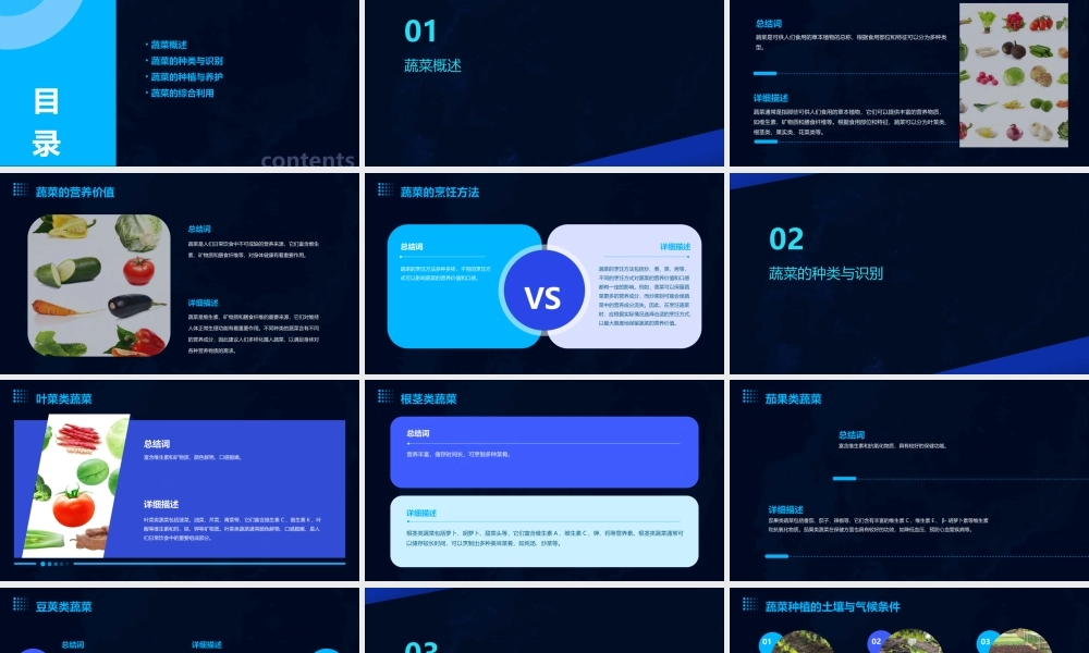 认识蔬菜综合实践课程课件