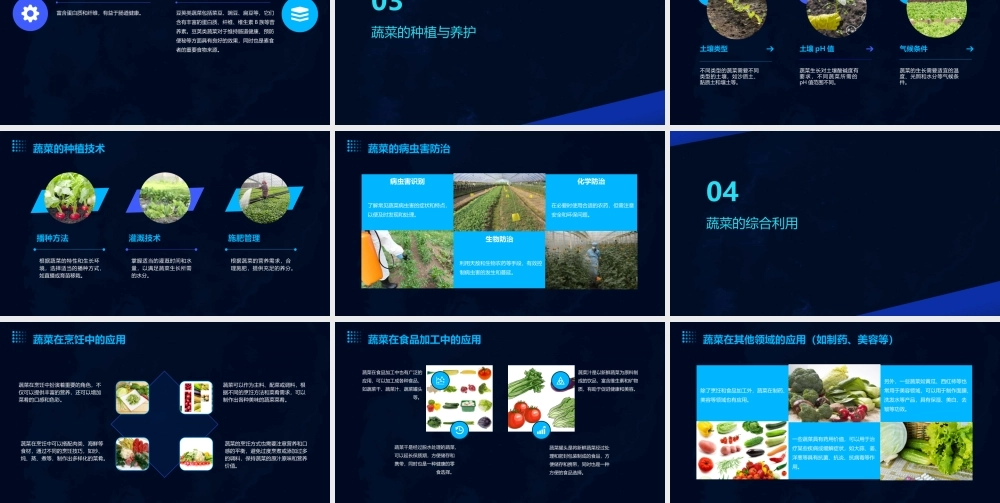 认识蔬菜综合实践课程课件