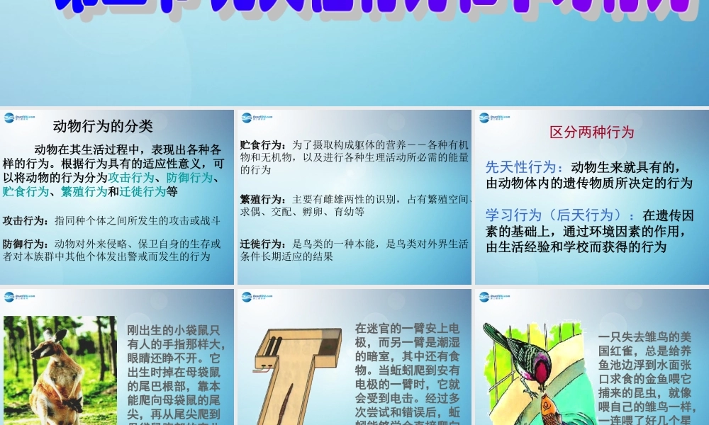 八年级生物上册 第二章 第二节 先天性行为和学习行为课件1 新人教版 课件