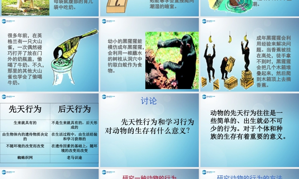 八年级生物上册 第二章 第二节 先天性行为和学习行为课件1 新人教版 课件