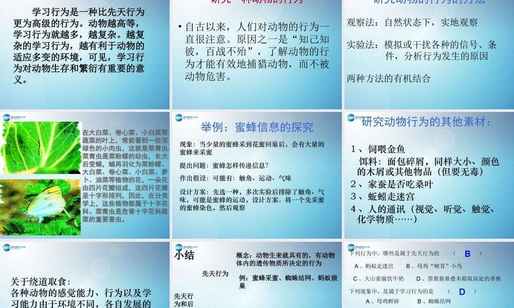 八年级生物上册 第二章 第二节 先天性行为和学习行为课件1 新人教版 课件